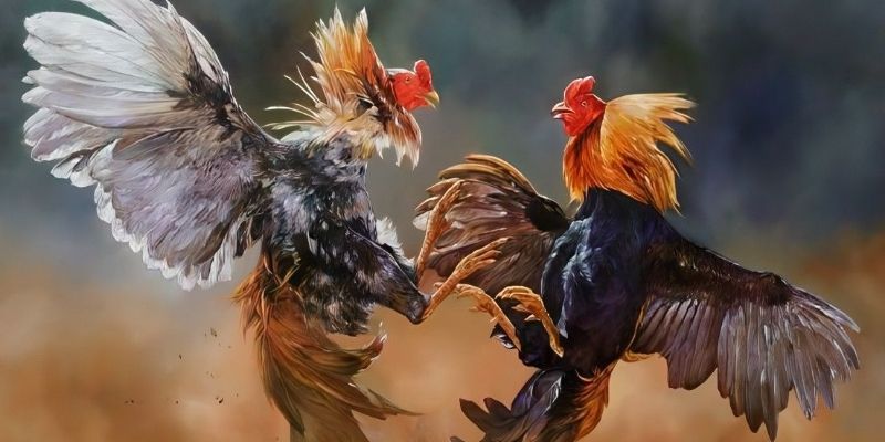 Trang nhà cái được đông đảo người chơi tin chọn